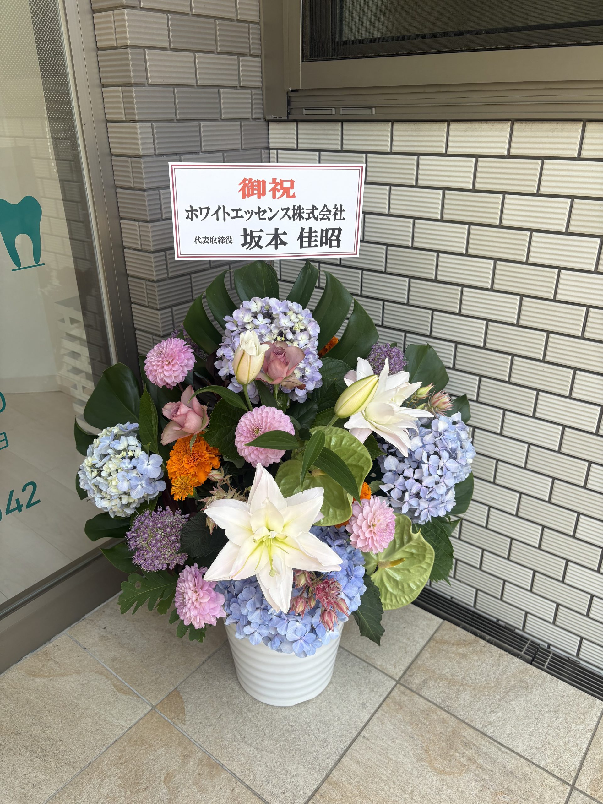 WEがオープンしました୨୧